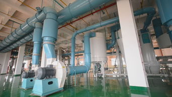 長(zhǎng)城專(zhuān)訪(fǎng)丨蛙牌 為寵物帶去健康，為寵物主人帶來(lái)安心——專(zhuān)訪(fǎng)蛙牌軟件開(kāi)發(fā)團(tuán)隊(duì)