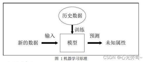 人工智能入門(mén)基礎(chǔ)概念 正確開(kāi)啟AI世界的大門(mén)與基礎(chǔ)軟件開(kāi)發(fā)